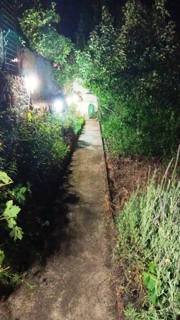 Garten von Haus oder Chalet zum Verkauf in Cortegana mit Privatgarten und Abstellraum