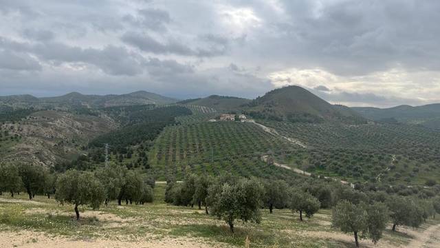 Terreno en Venta en Área Rural-Valverde-Las Casas