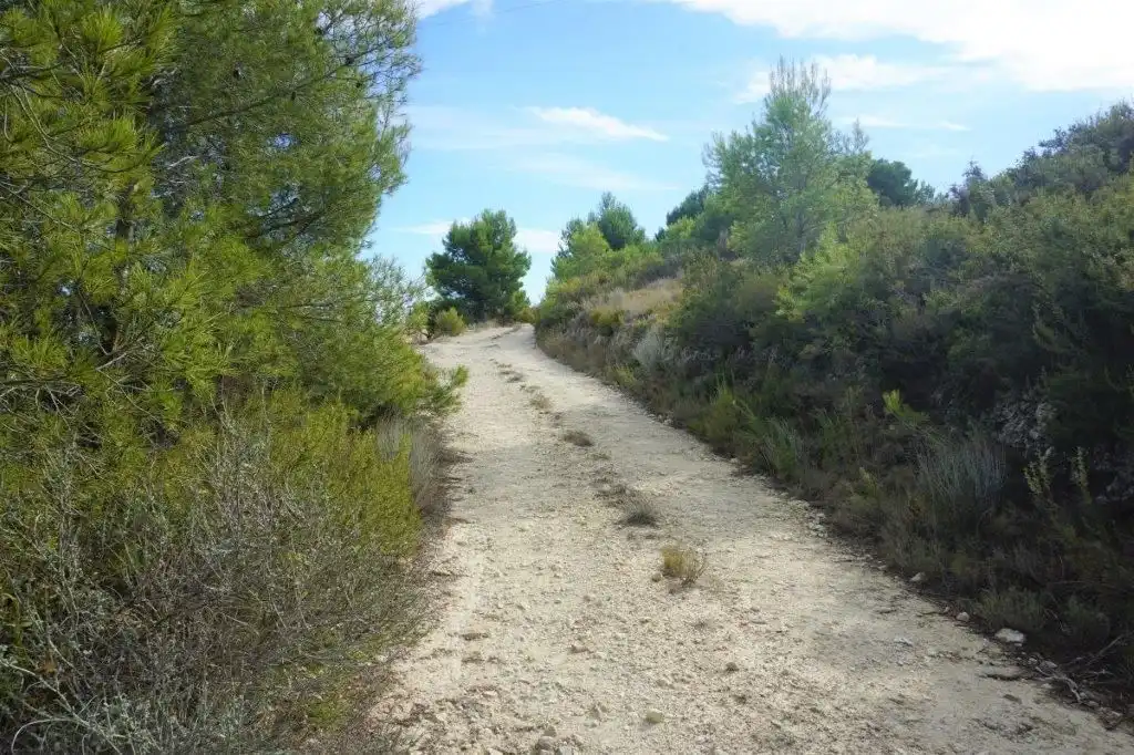 Exterior view of Land for sale in El Castell de Guadalest