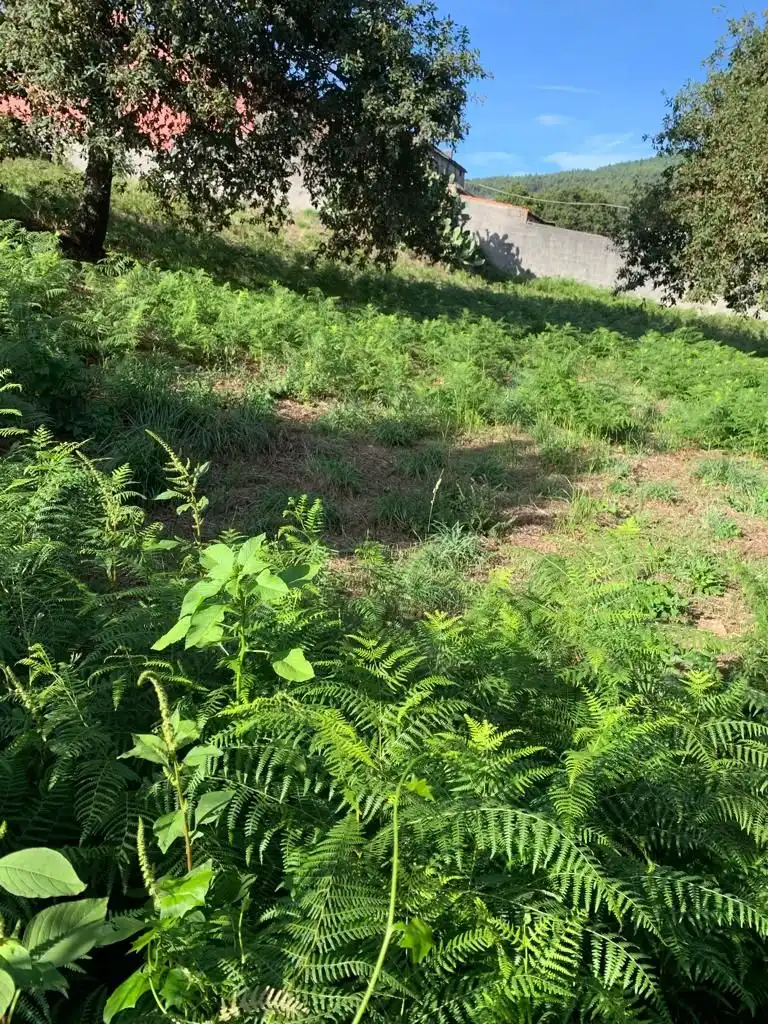 Wohnbaugrundstück zum Verkauf in Rúa Xiabre, imagen 5