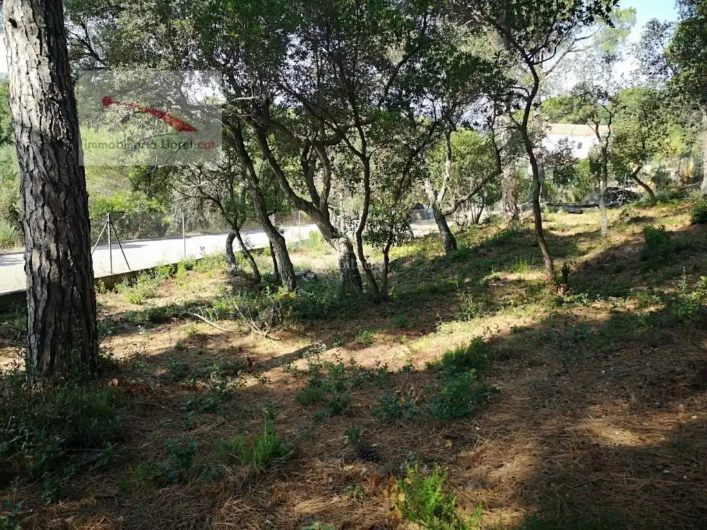 Terreno residencial en venta en Carrer Euro 9, imagen 14