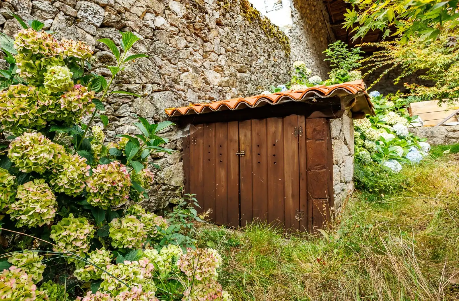 Jardí de Finca rústica en venda en Chantada amb Aire condicionat, Calefacció i Jardí privat