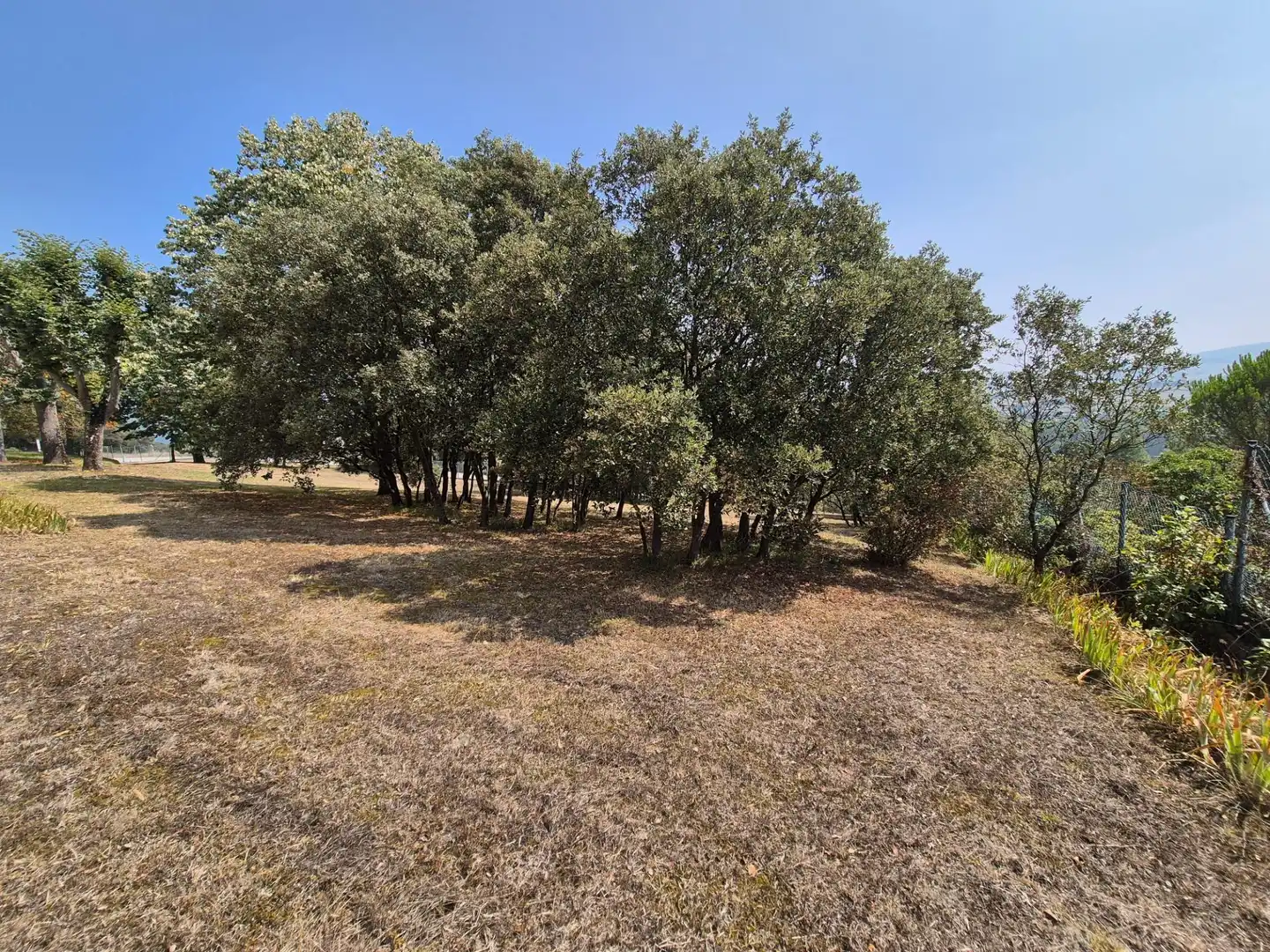 Maison avec jardin à vendre à Valle de Mena, imagen 46