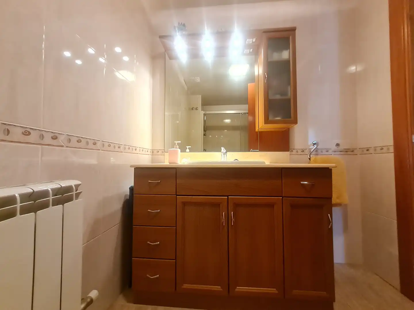 Bathroom of Detached homes for sale in Puig-reig  with Air Conditioner, Heating and Private garden