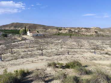 Terreny rústic en venda a Campo de Murcia