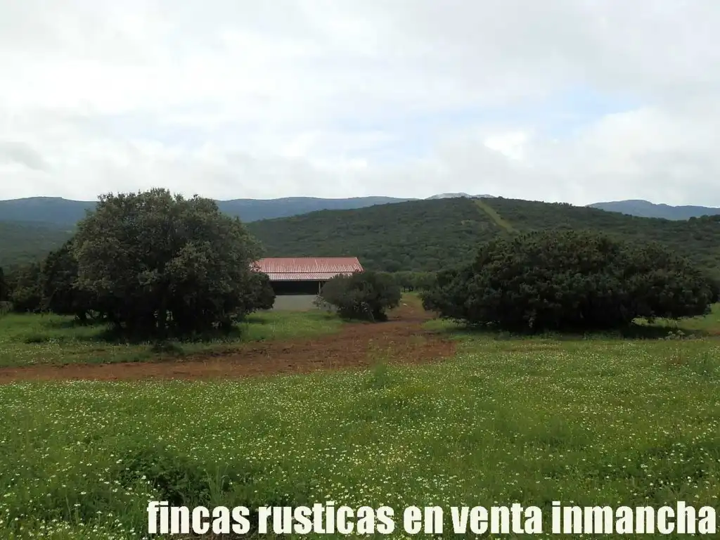 Terreno rústico en venta en Abenójar, imagen 3
