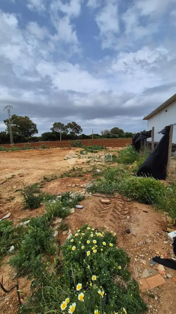 Country homes for sale in Conil de la Frontera