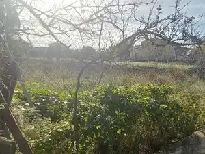 Terreno residenziale in vendita a Calle Cuadra Borriolench, imagen 8