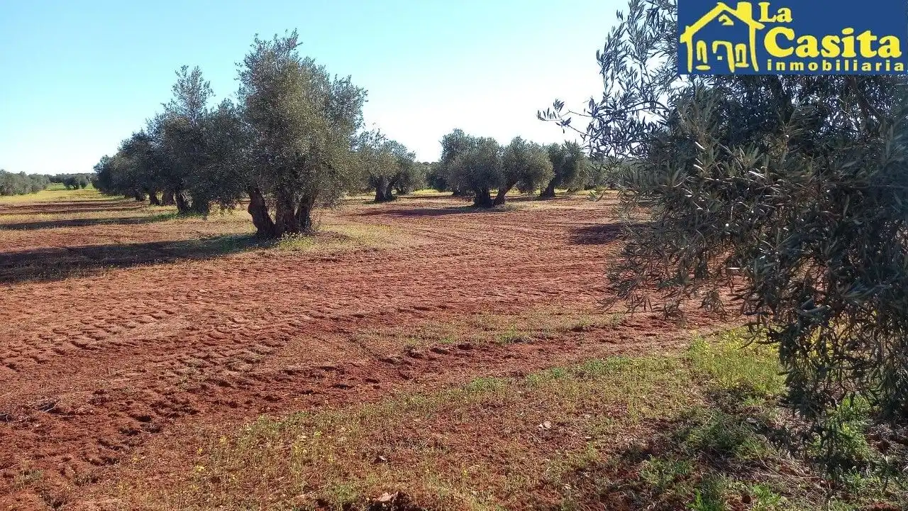 Terrenys i solars en venda a Almagro, imagen 5