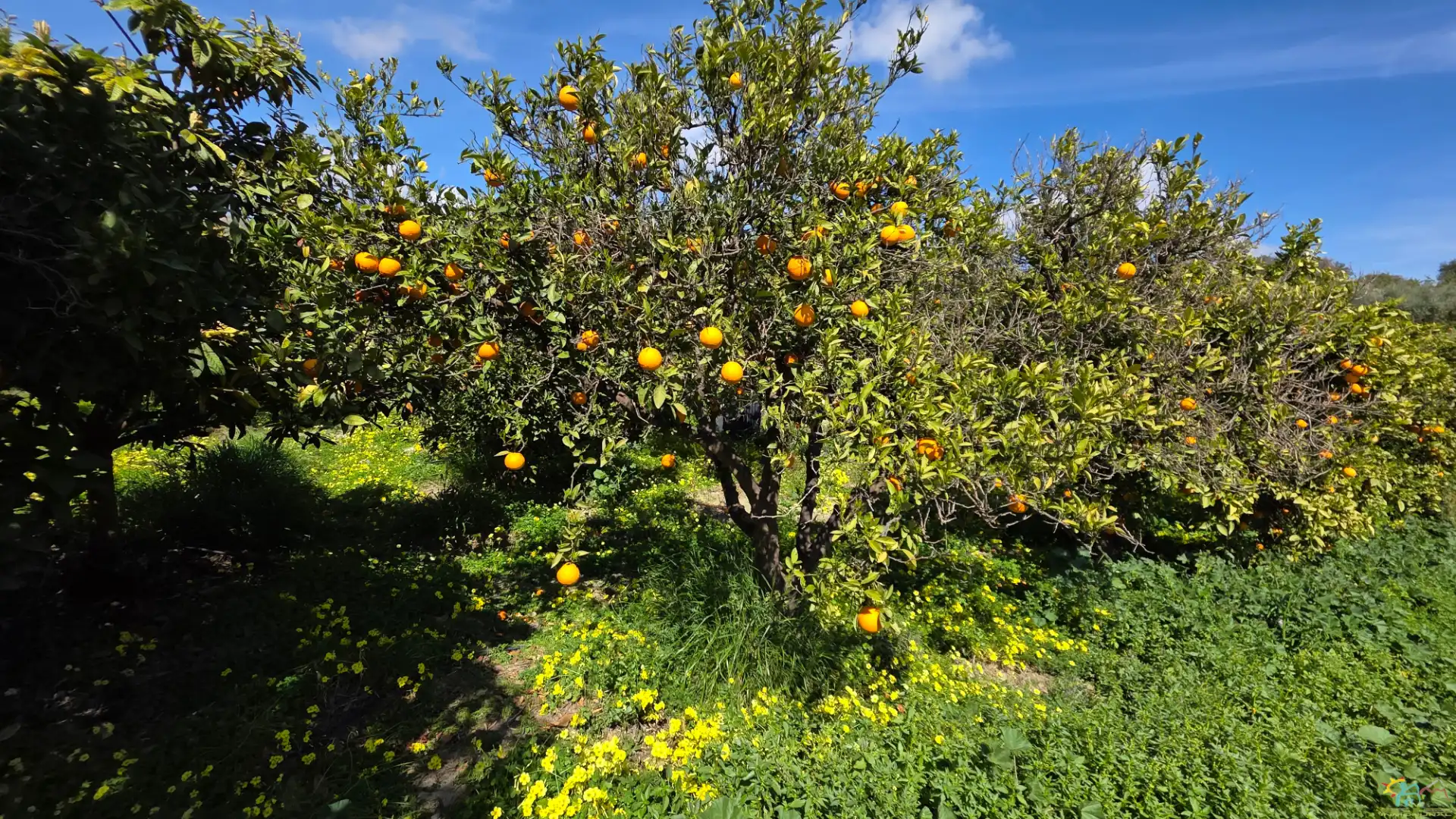 Jardí de Finca rústica en venda en Canjáyar amb Moblat
