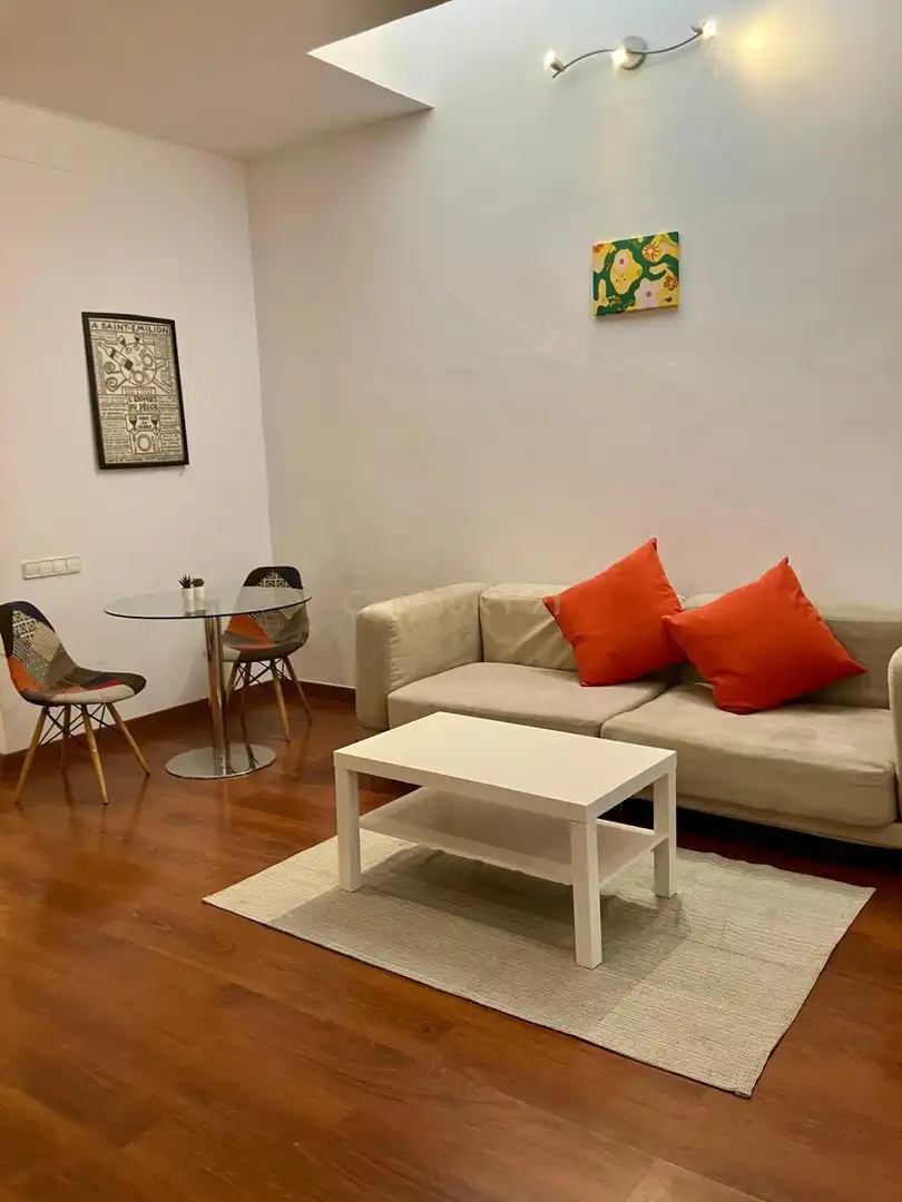 Sala d'estar de Apartament de lloguer en Barcelona amb Aire condicionat