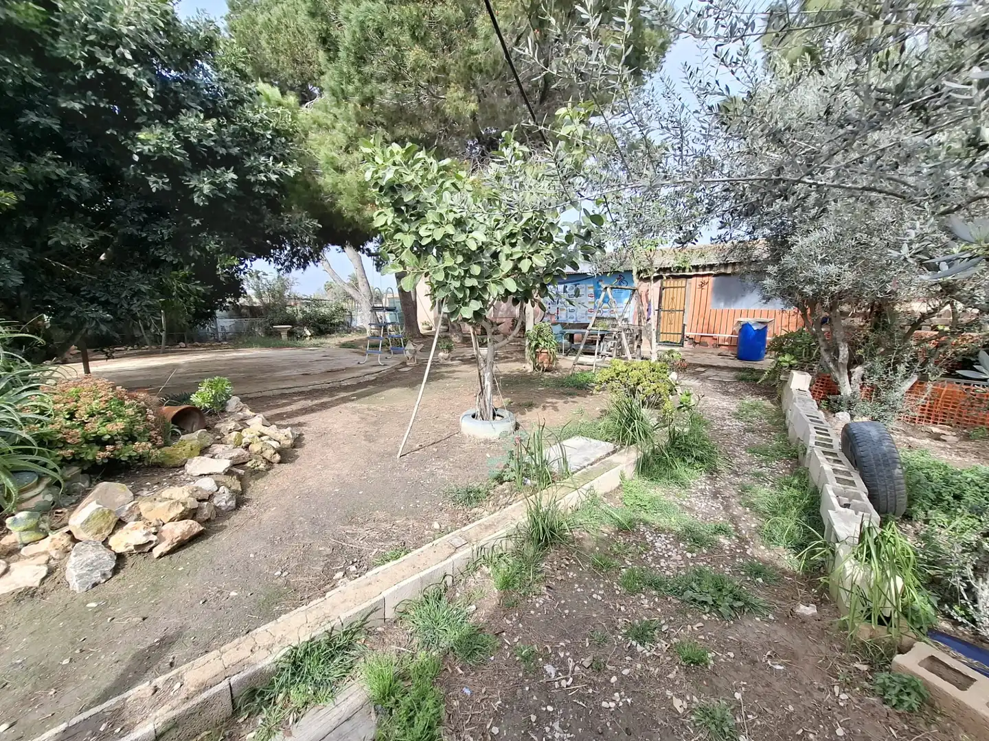 Finca rústica en venda a Partida Saavedra, El Edén