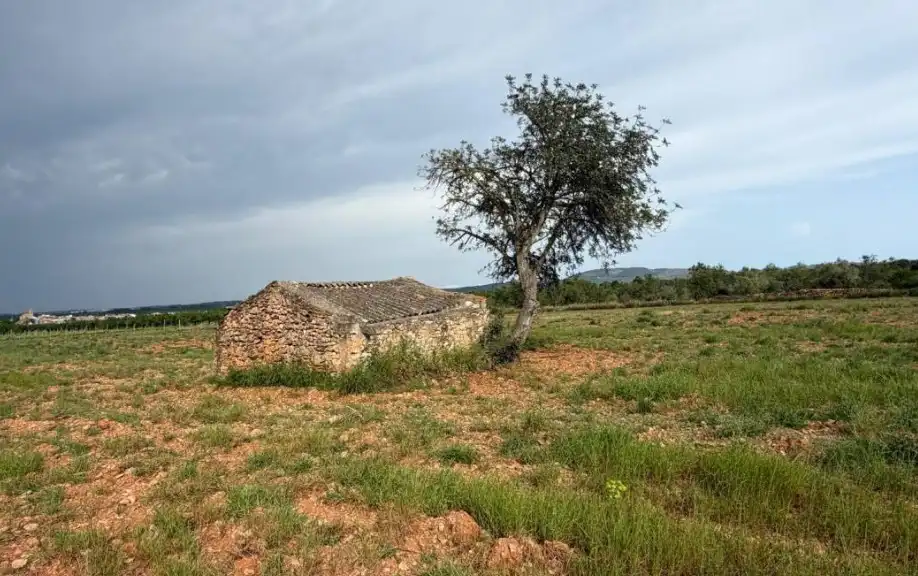 Terreny rústic en venda a Benlloc, imagen 3