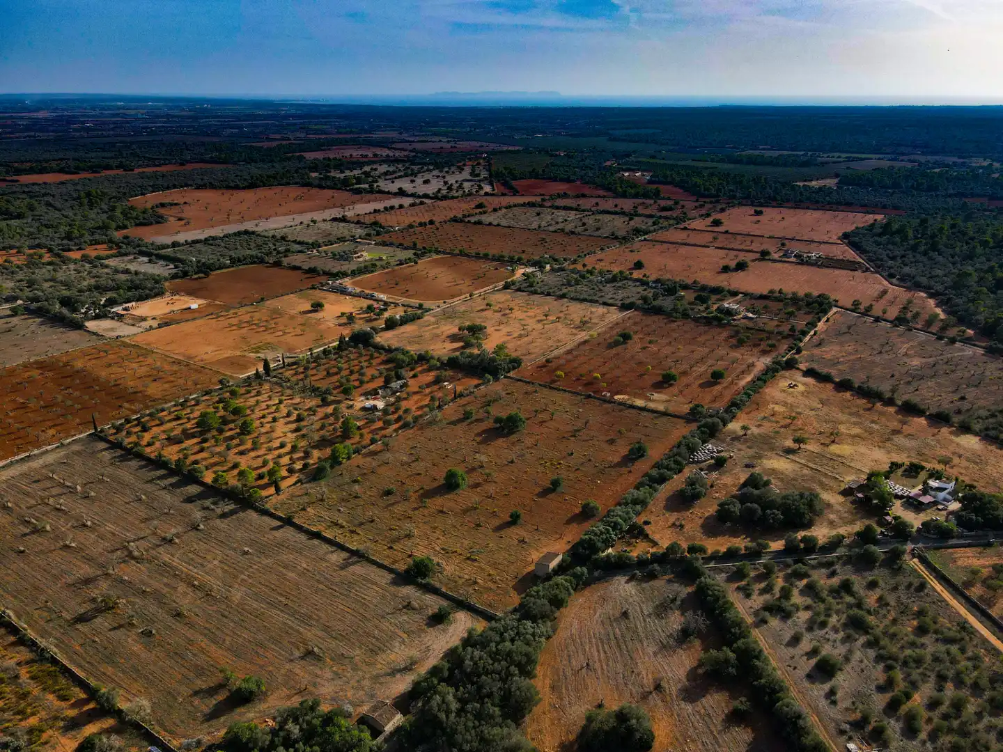 Terreno rustico in vendita a Carrer Major, imagen 3