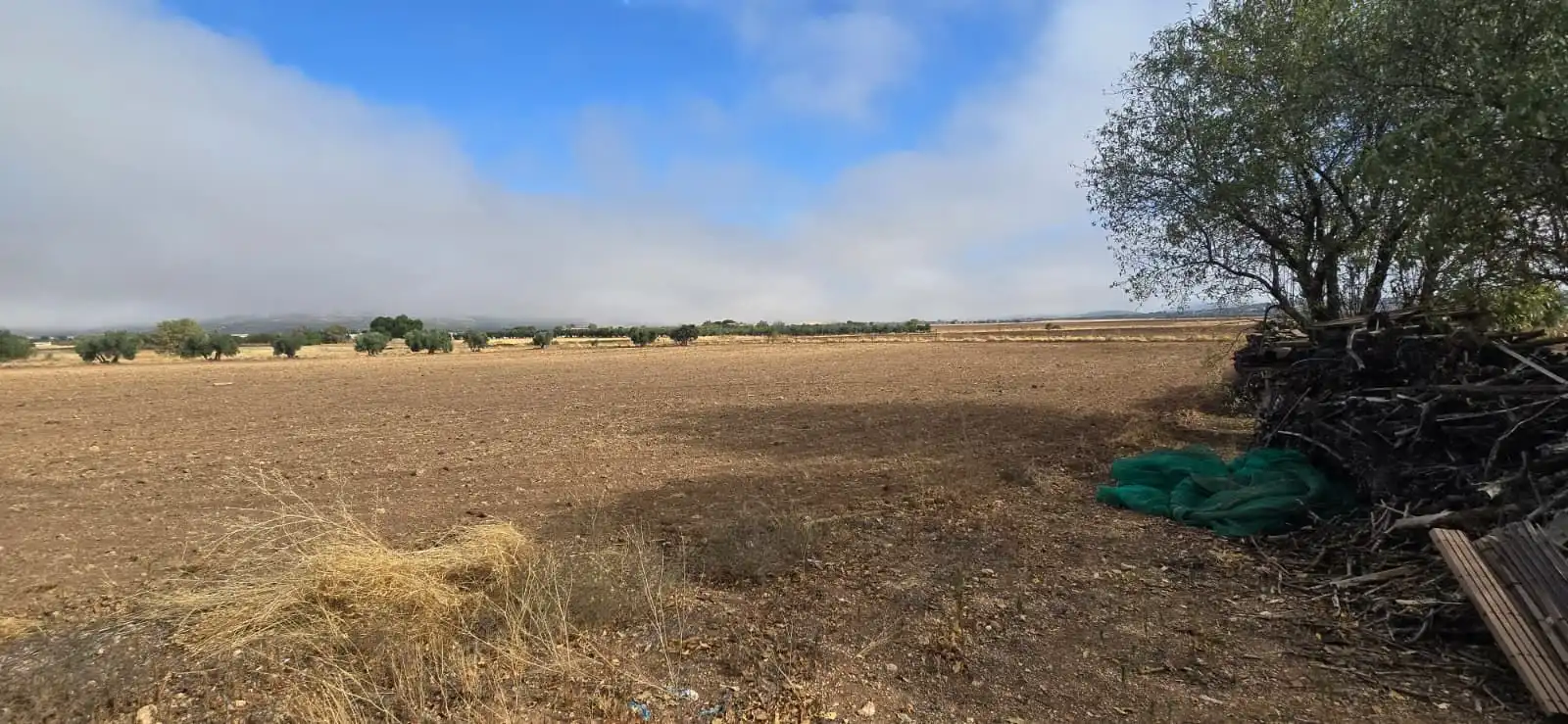 Country homes for sale in Villamayor de Calatrava