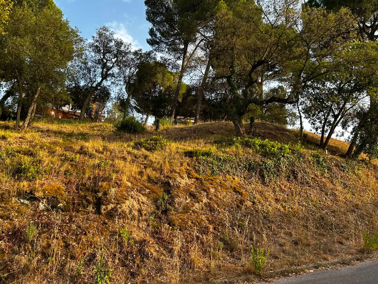 Terreno residencial en venta en Mas Mora - Sant Daniel, imagen 8