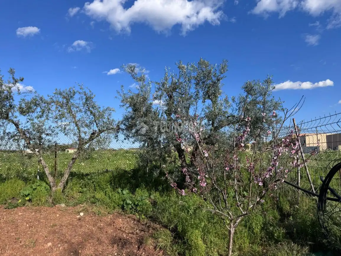 Country homes for sale in Torreblanca