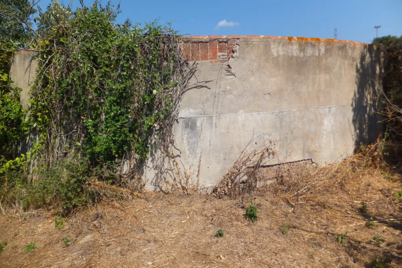 Terreno rústico en venta en Riudoms, imagen 48