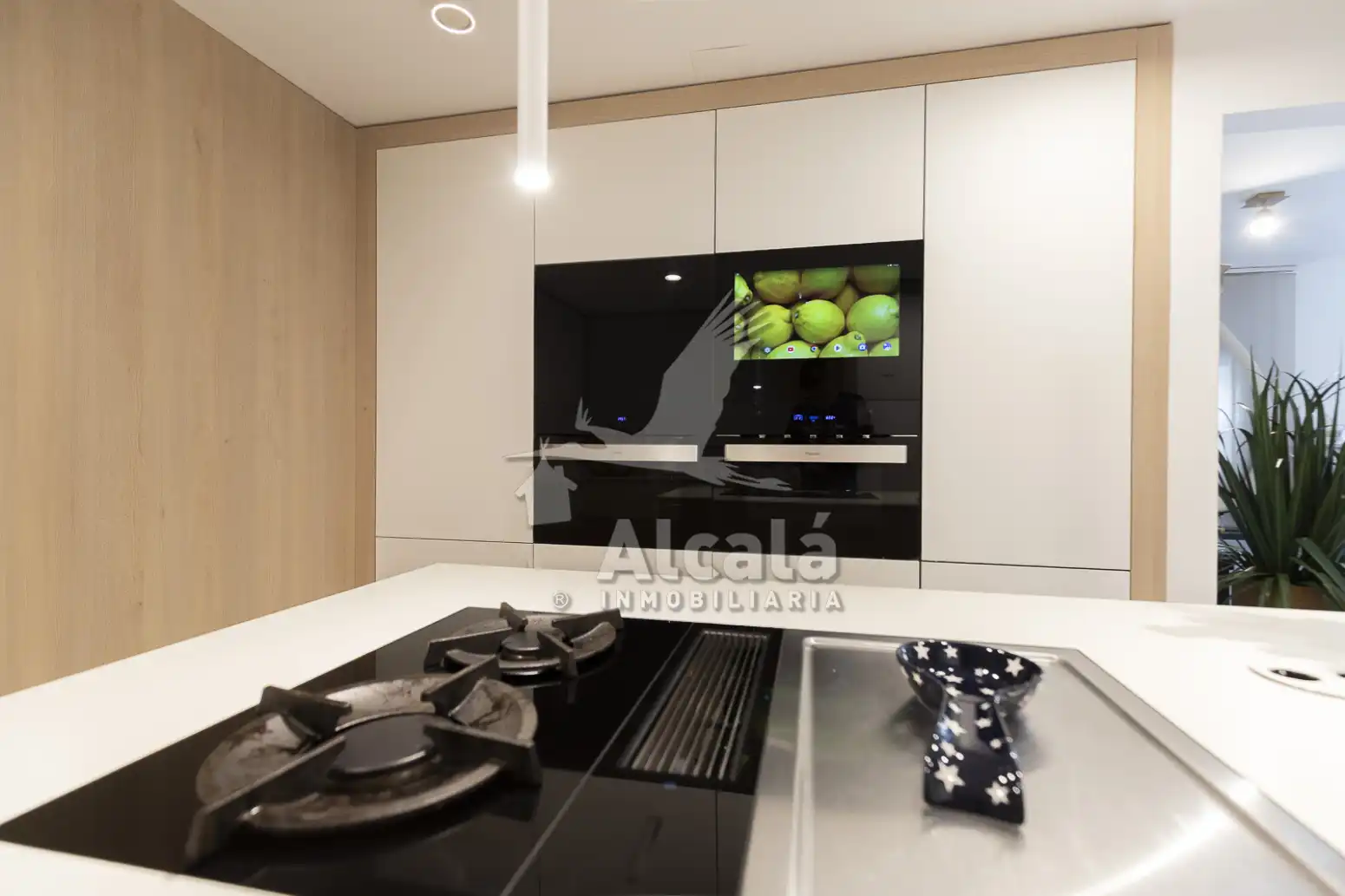 Appartamento con terrazza in vendita a El Quiñón, imagen 16
