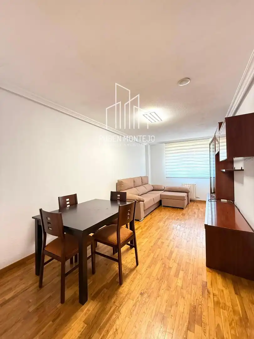Living room of Flat for rent in Salamanca  with Heating, Parquet flooring and Terrace
