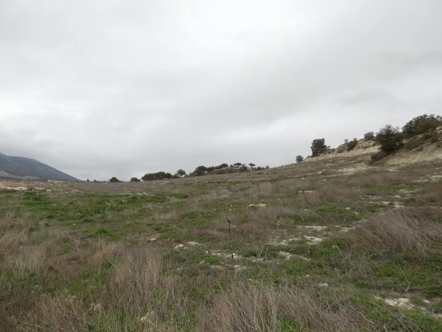 Terreno en venta en María