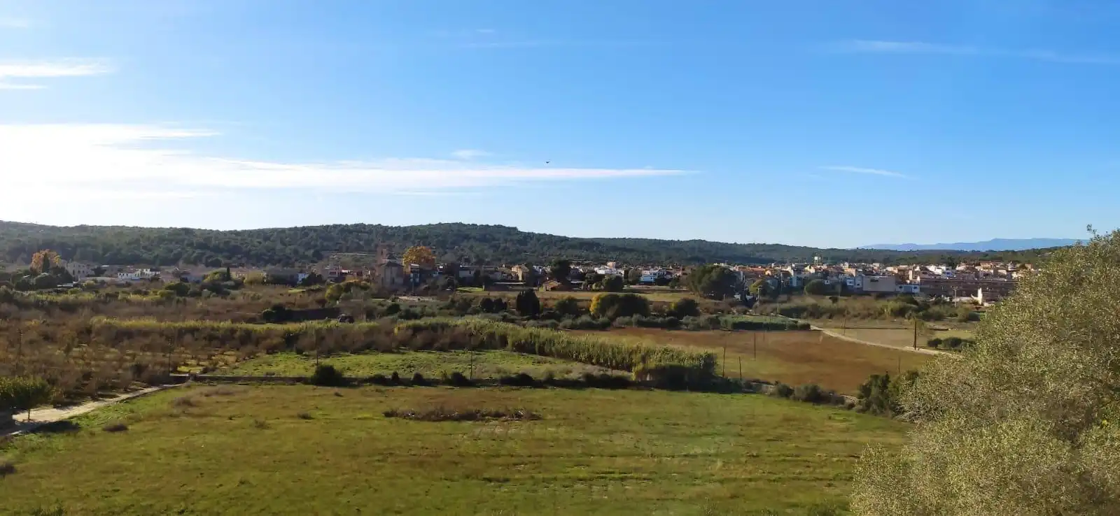 Casa o chalet en venta en La Riera de Gaià