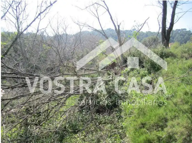 Terrain rustique à vendre à POLIGONO, imagen 14