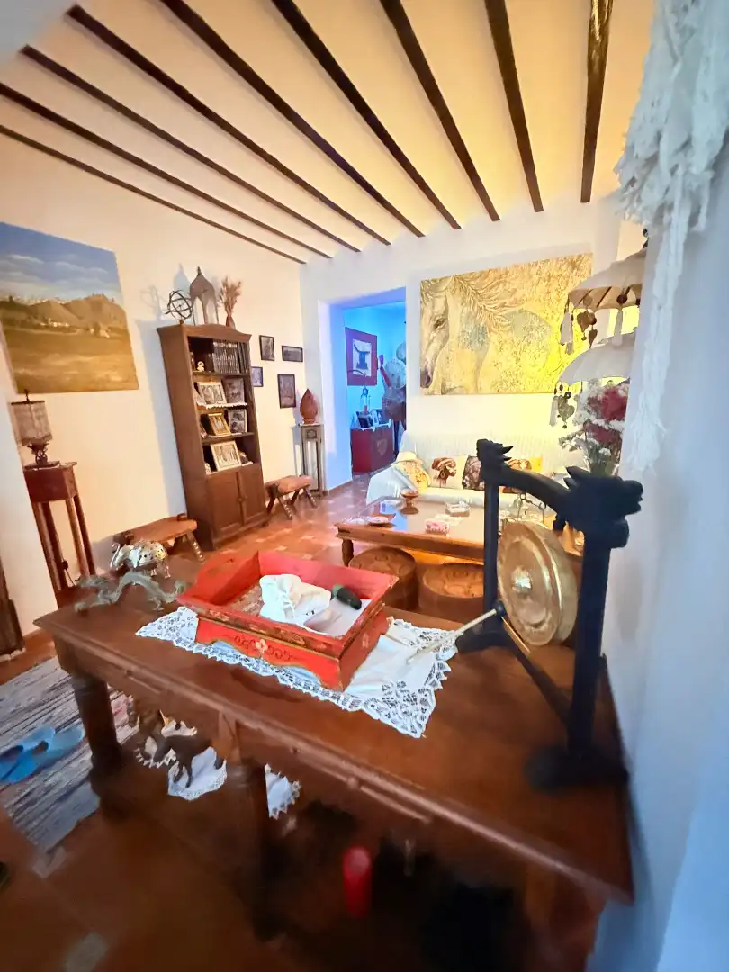 Living room of Detached homes for sale in Álora  with Air Conditioner, Terrace and Oven