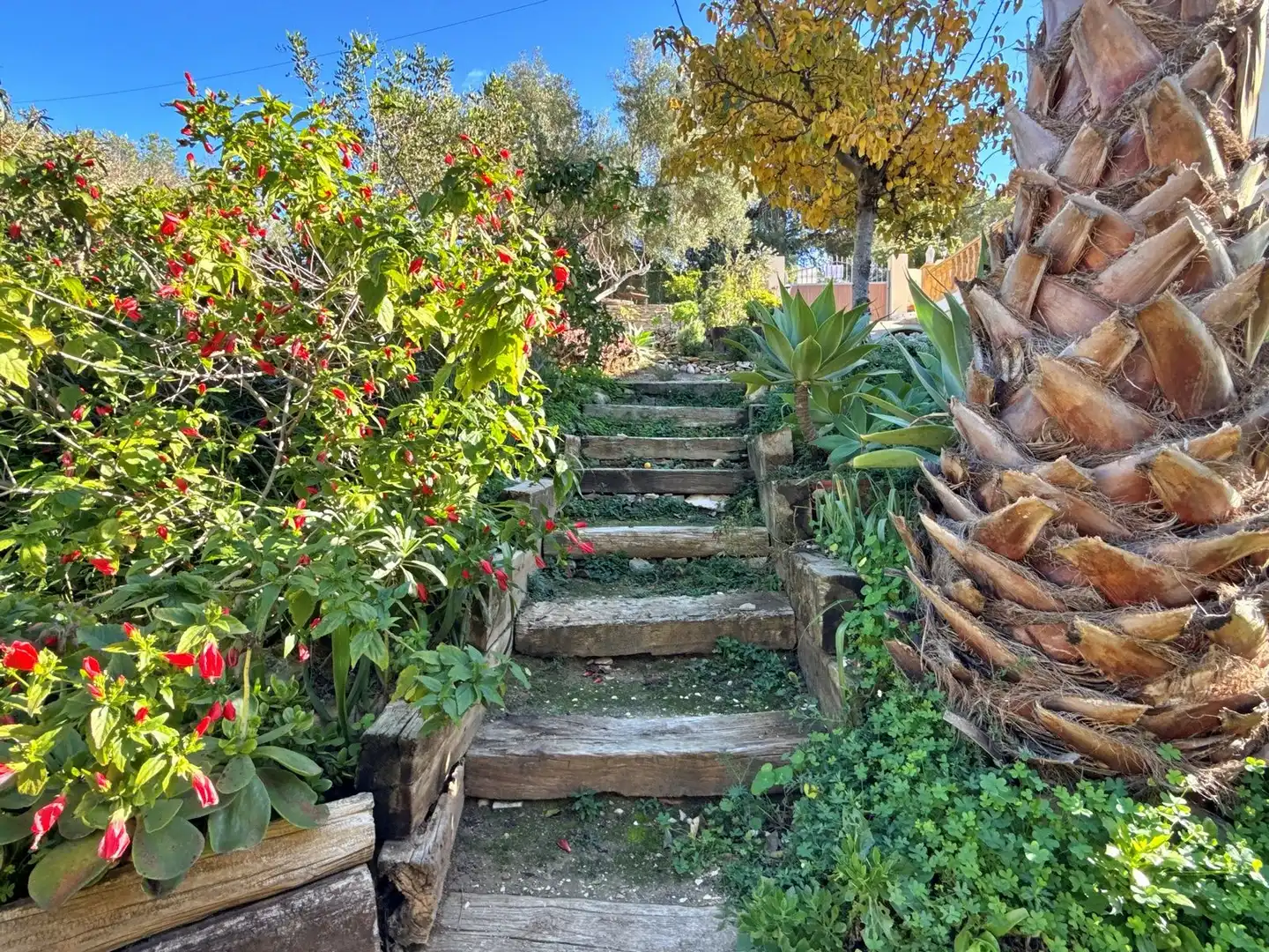 Villa con piscina in vendita a La Viña - Montemar - San Jaime, imagen 40