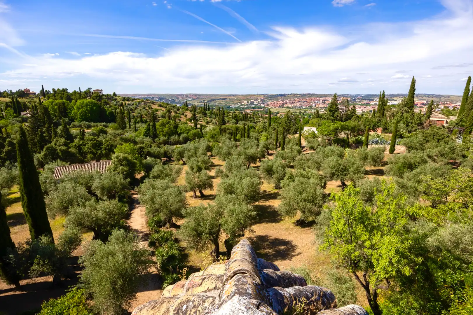 Garden of Houses for sale in Toledo  with Air Conditioner, Heating and Private garden
