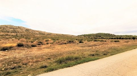 TERRENO EN CAÑADA ZONA CTRA. CAÑADA BIAR CON CANTERA, imatge 2