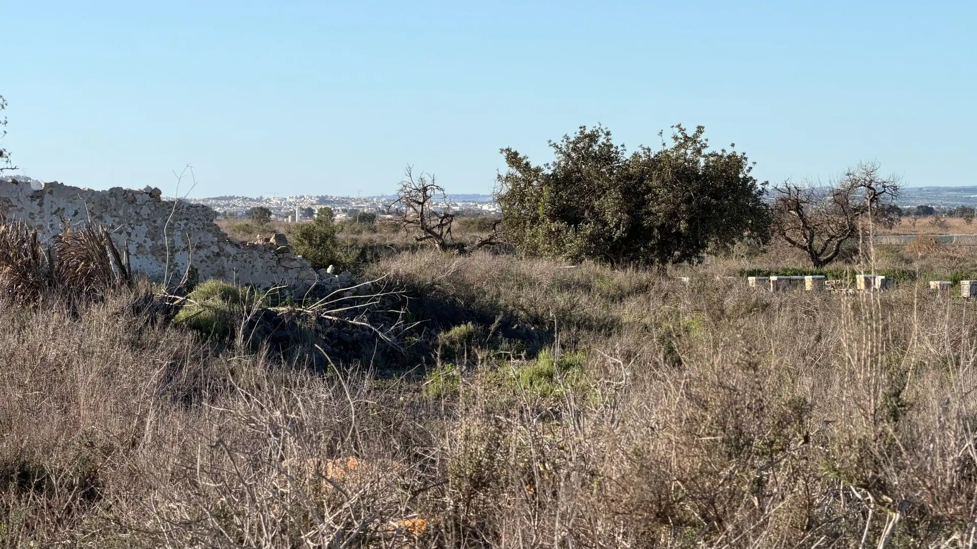 Terreno residencial en venta en La Marina, imagen 7