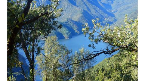 Hectáreas de terreno en el Pantà de Susqueda, imatge 4