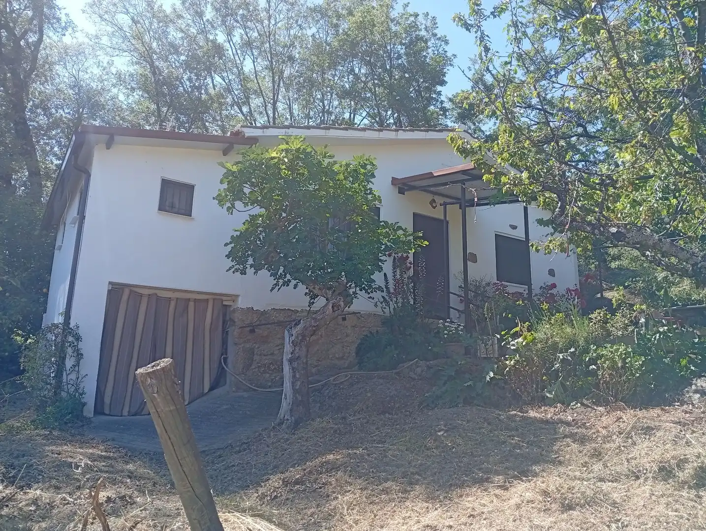 Terreni e lotti in vendita a Villanueva de la Vera