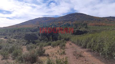 Foto 3 de Casa o xalet en venda a Puerto de San Vicente, Toledo