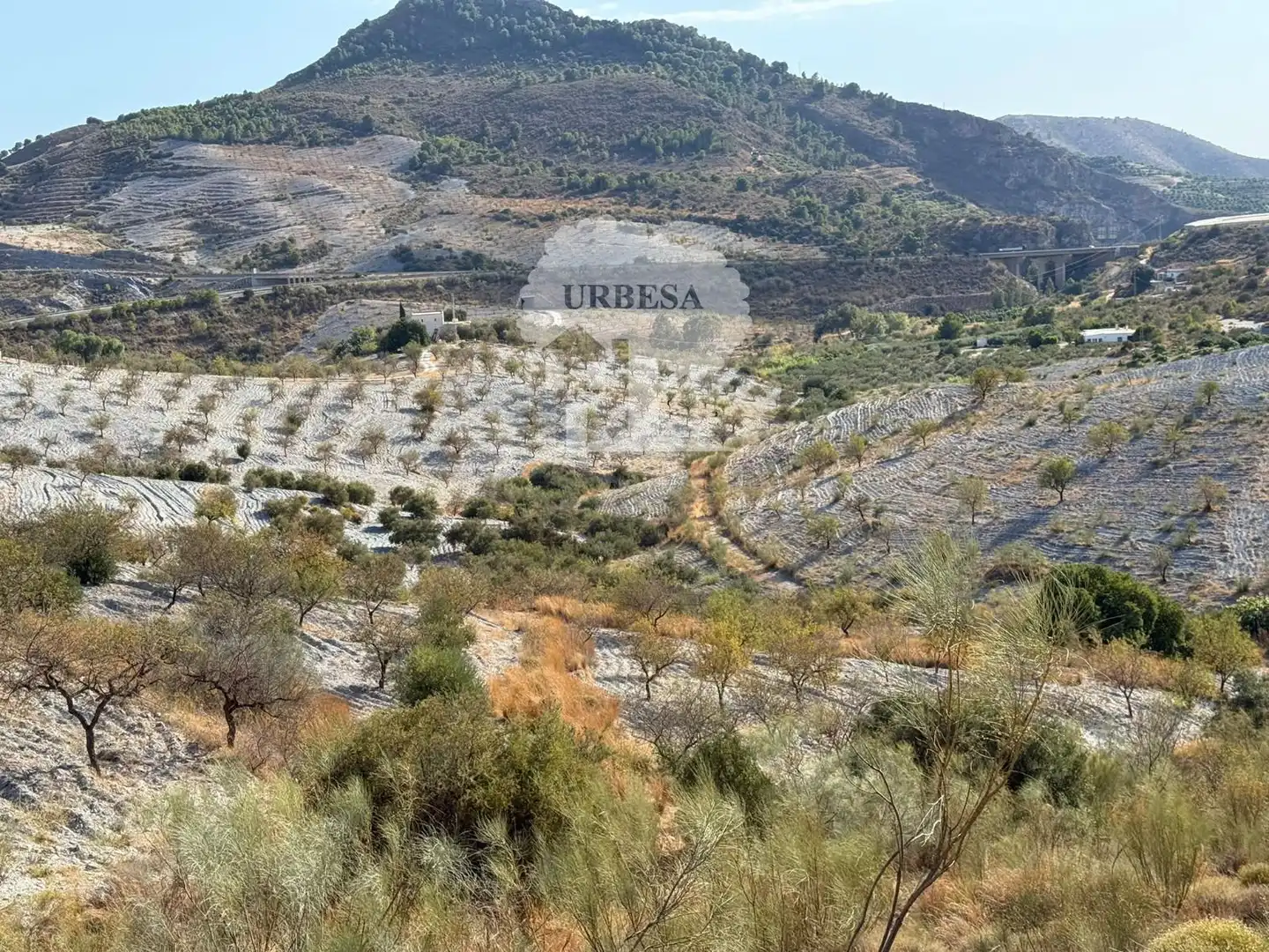 Grundstücke zum Verkauf in Vélez de Benaudalla