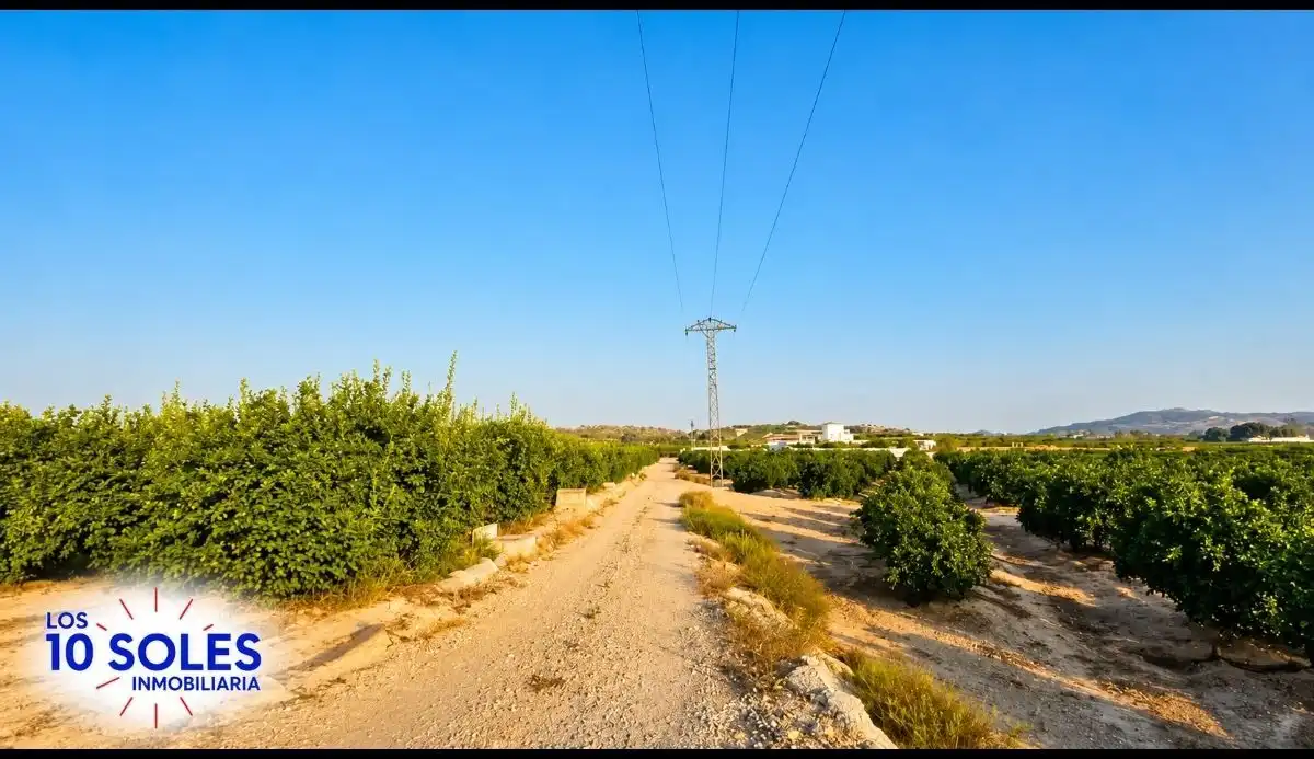 Terreno rústico en venta en Jacarilla, imagen 4