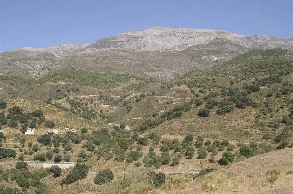 Terreno rústico en venta en Sedella, imagen 2