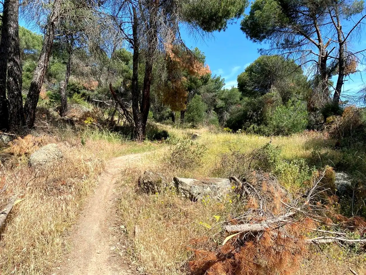 Terreny rústic en venda a Navahoncil, imagen 16