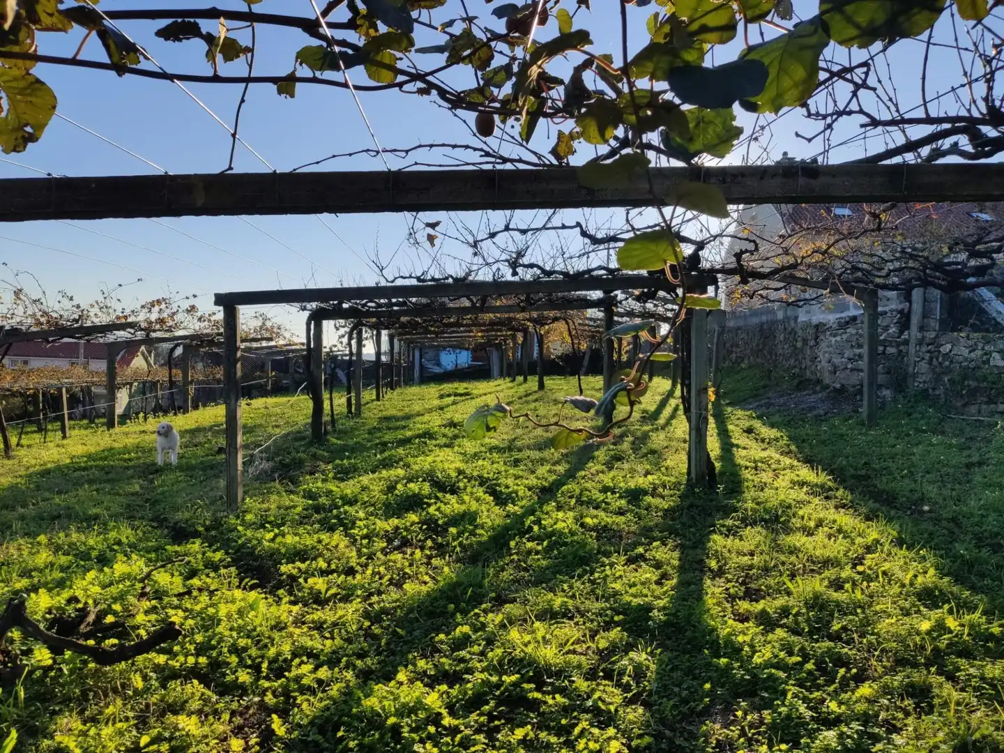 Xalet amb jardí en venda a Lugar CUIÑA-TREMOEDO, imagen 33