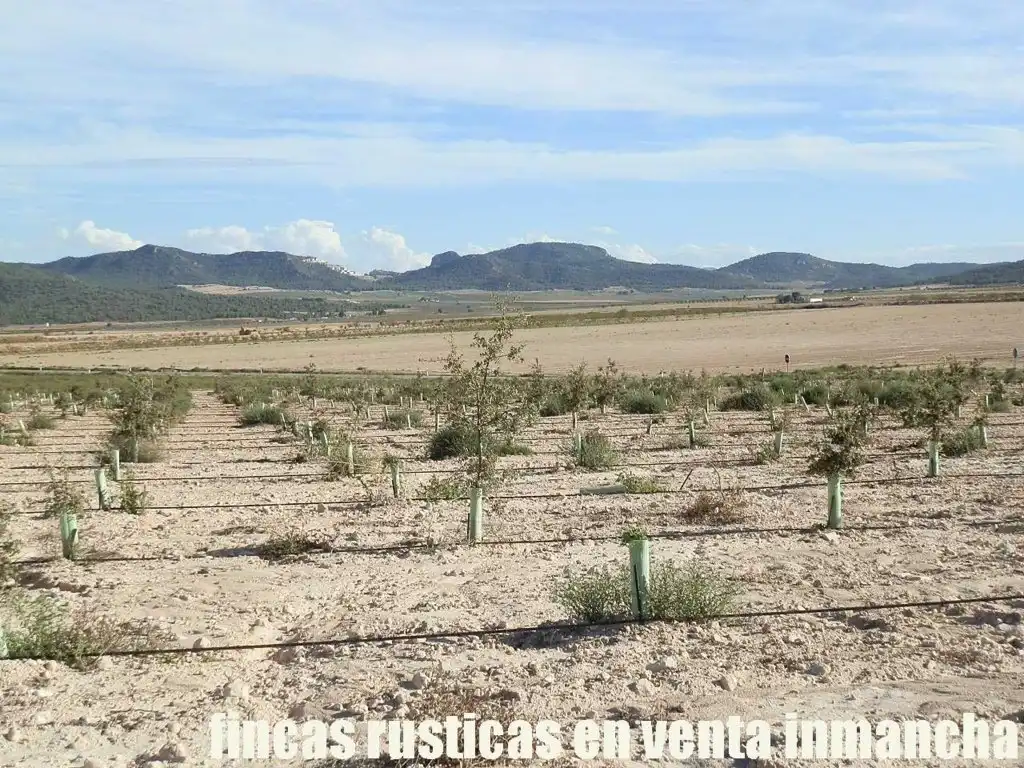 Rustikales Grundstück zum Verkauf in Jumilla, imagen 5