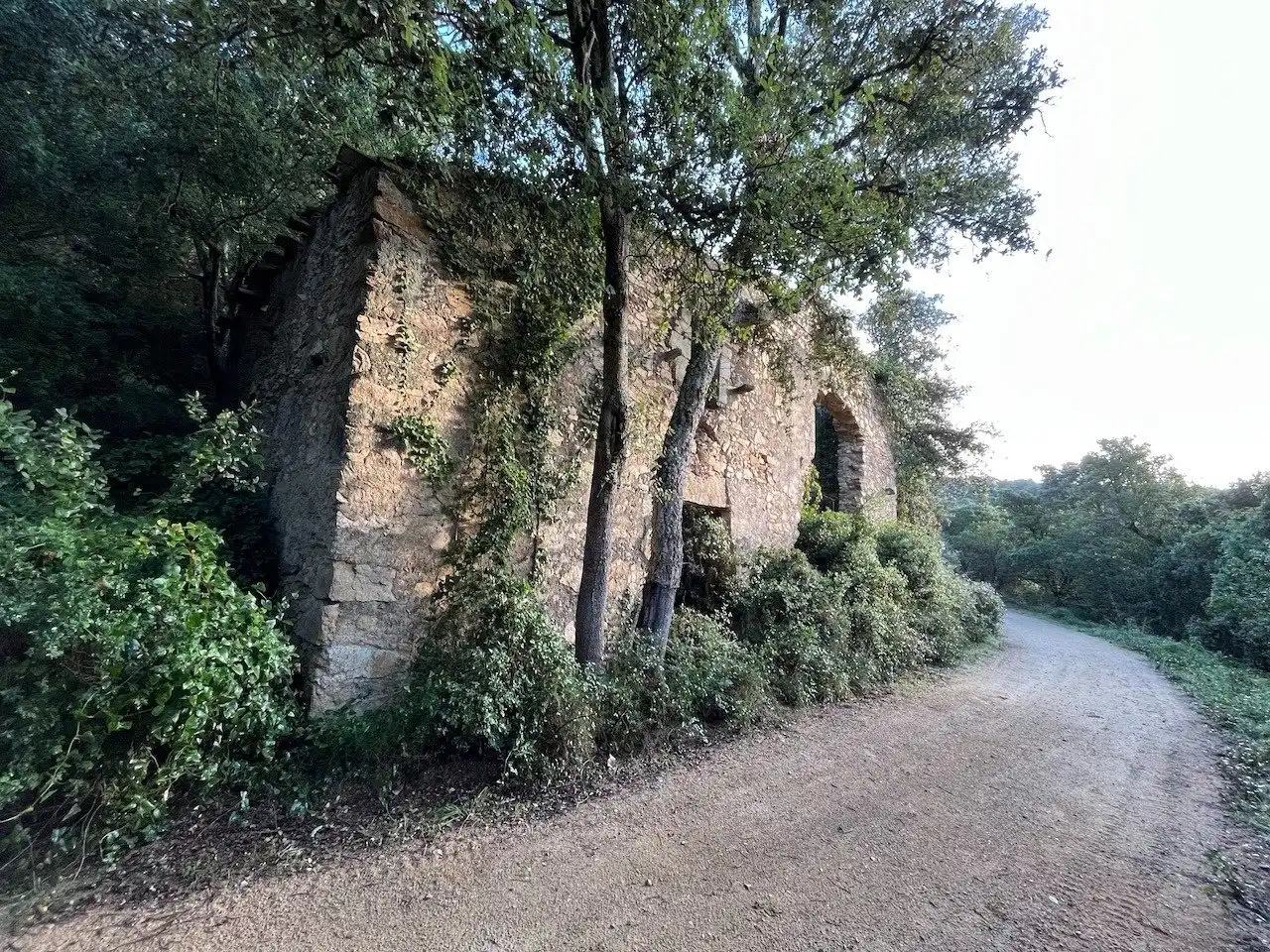 Maison rustique à vendre à Camino de Ca l'Esteve Burgada, imagen 4