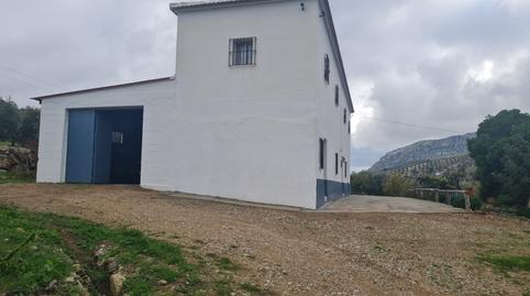 Foto 3 de Finca rústica en venda a Diseminado Poligono 72, 308, Bobadilla - Bobadilla Estación - La Joya, Antequera
