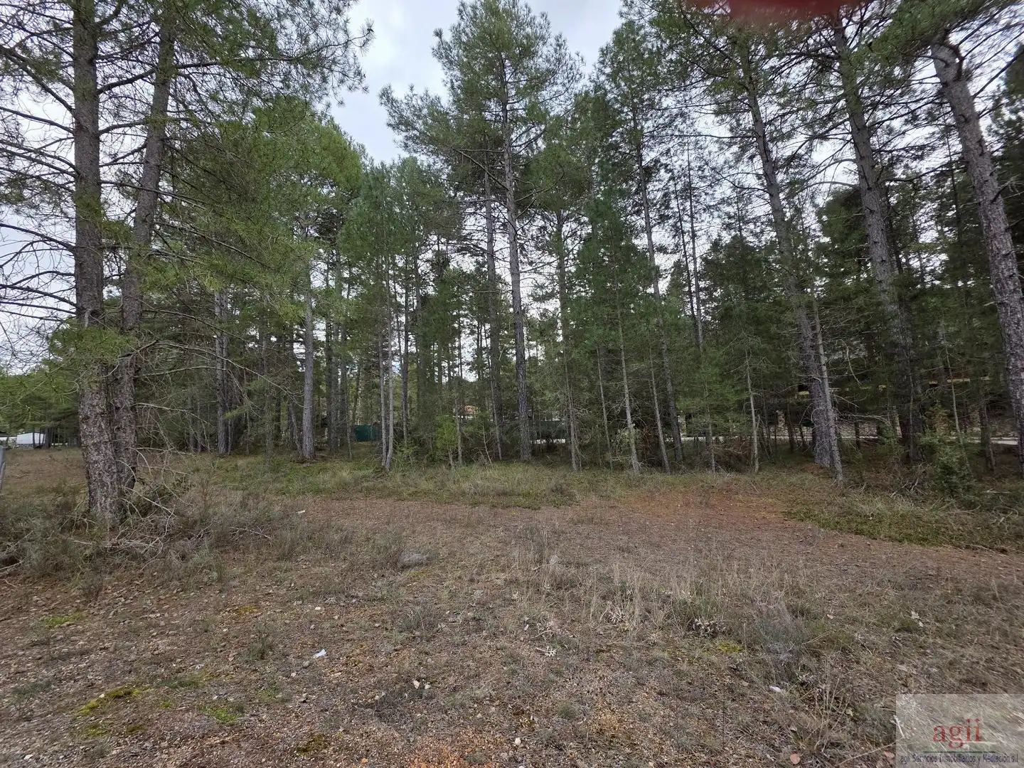 Terrain résidentiel à vendre à Trillo, imagen 2