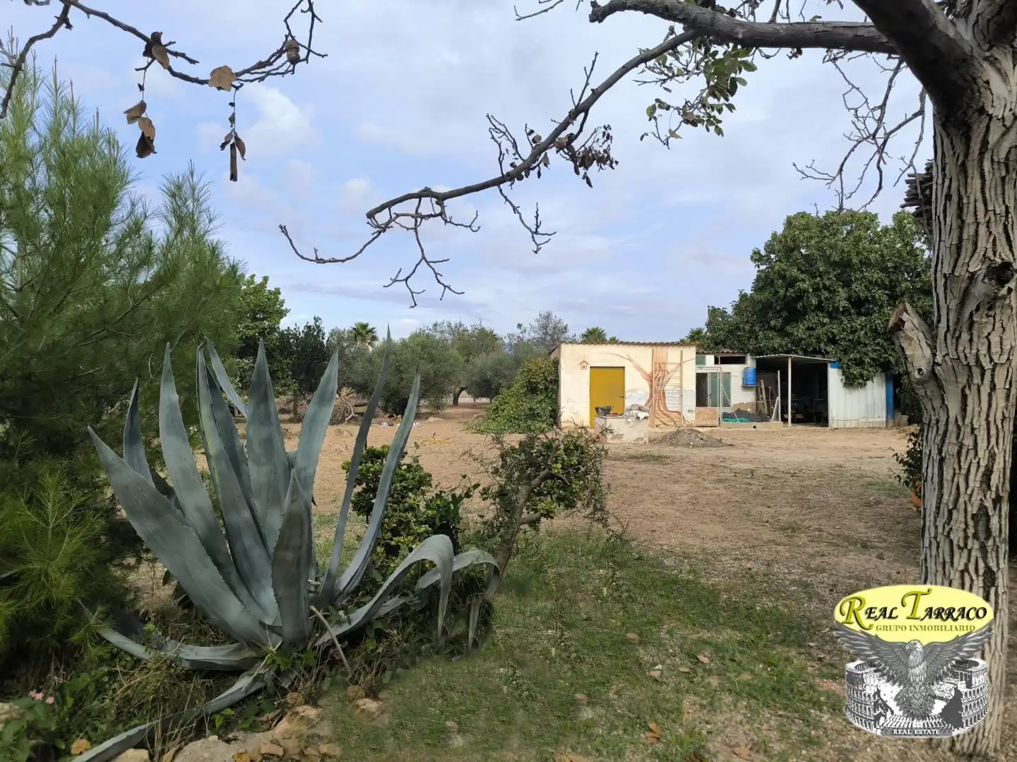 Country house with pool for sale in Migjorn, imagen 40