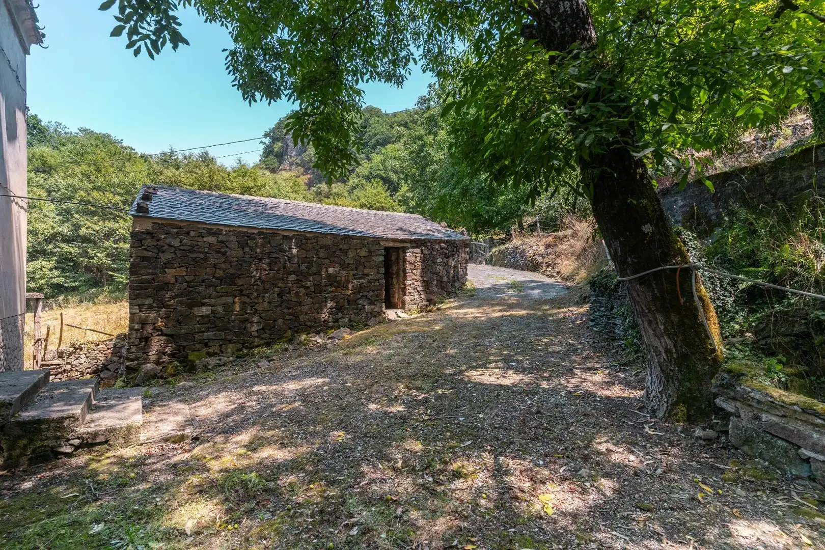Vista exterior de Casa o xalet en venda en Illano