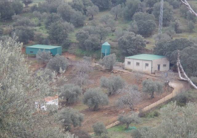 Finca rústica en Venta en Salvaleón