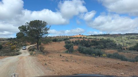 Foto 2 de Casa o chalet en venta en Játar, Granada