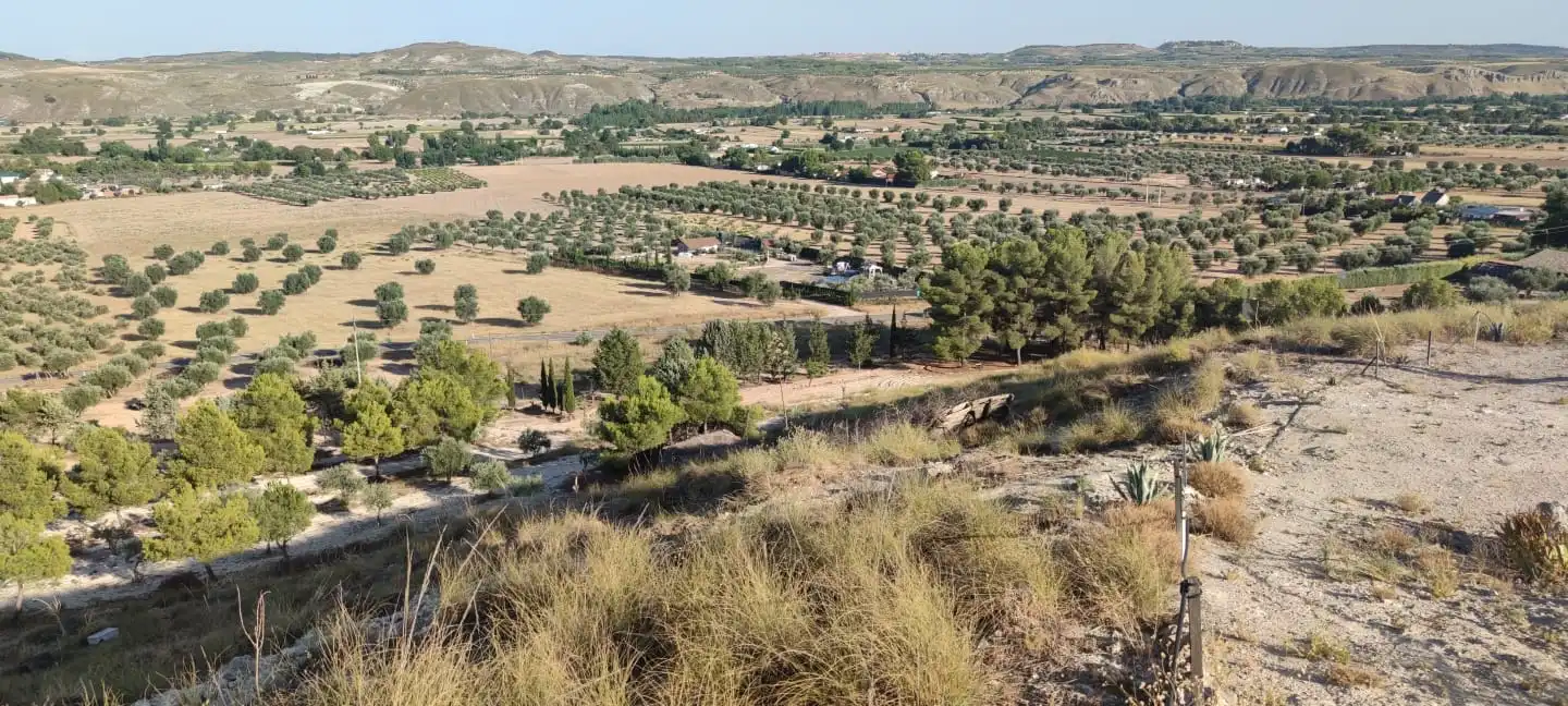 Casa o xalet en venda en Chinchón amb Jardí privat i Terrassa
