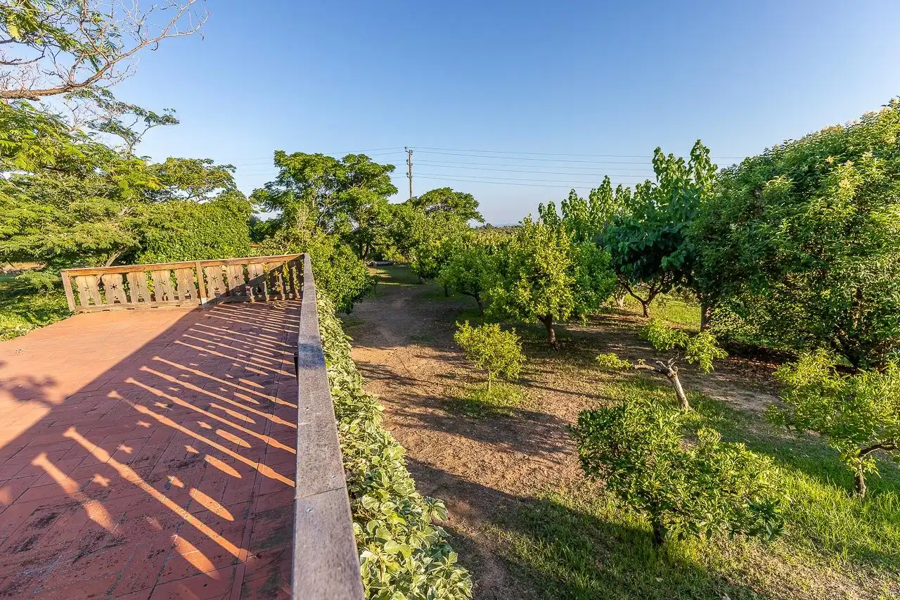 Maison rustique à vendre à Riudoms, imagen 25